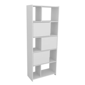 BIBLIOTECA DESPLAZADA: imagen 3