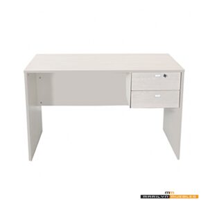 502 ESCRITORIO 120 CM 2 CAJONES