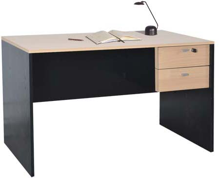 502 ESCRITORIO 120 CM 2 CAJONES
