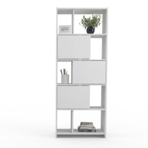 BIBLIOTECA DESPLAZADA