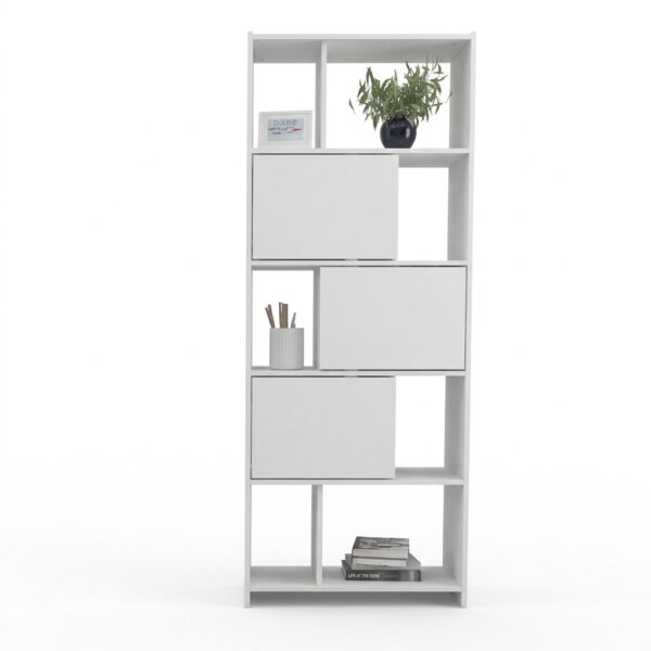 BIBLIOTECA DESPLAZADA